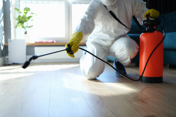 Reliable Hoarding Cleanup contractor in Belleville, NJ by Trauma Clean Pros